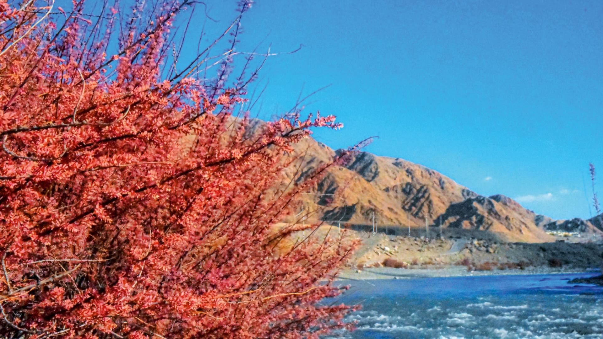 Ladakh