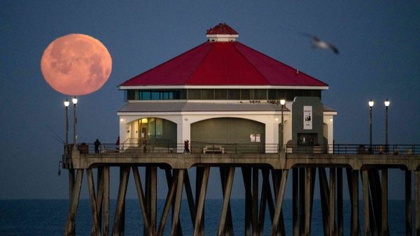 You Can See A ‘Flower Moon,’ Meteor Shower, And Lunar Eclipse In The Skies This May