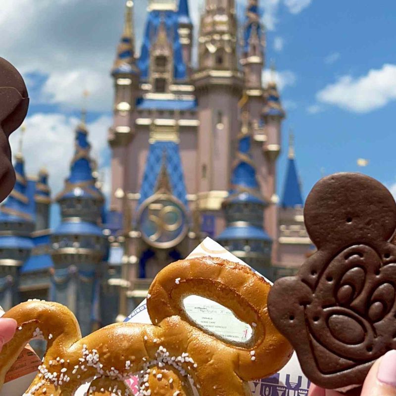 Walt Disney World Archives Travel And Leisure Asia India
