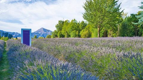 Discovering The Enchanting World Of Adventure, Stunning Views, And Wine In New Zealand