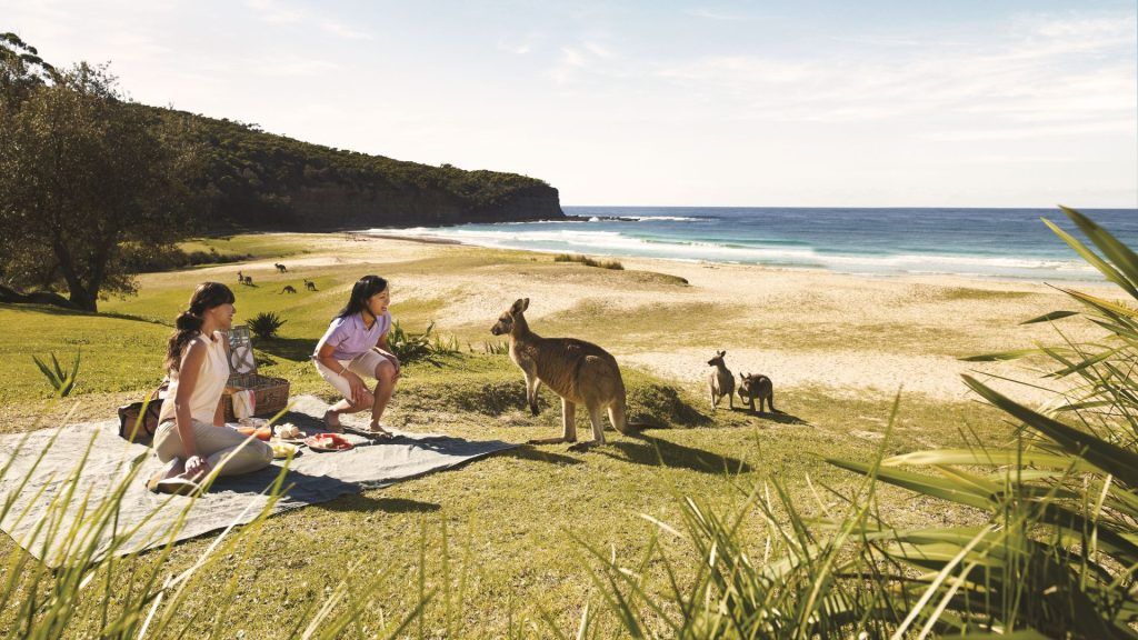 All The Reasons You Need To Visit Australia For Your Next Vacation