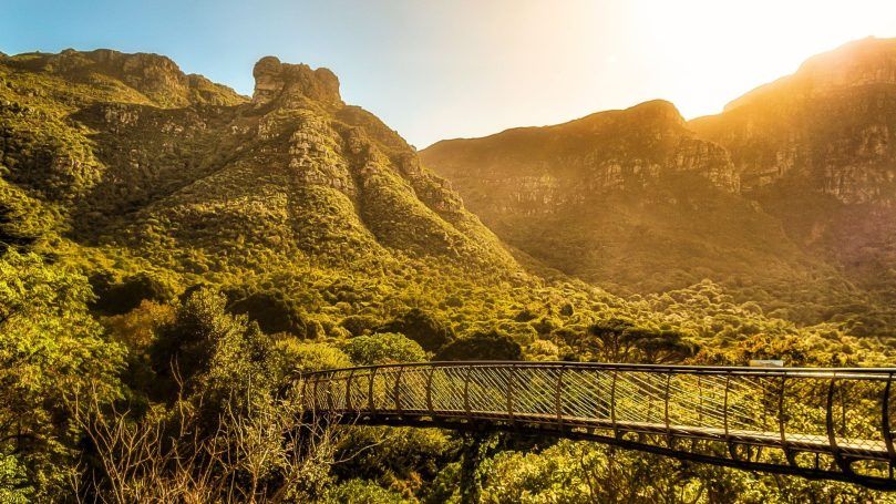 Kirstenbosch National Botanical Garden, South Africa