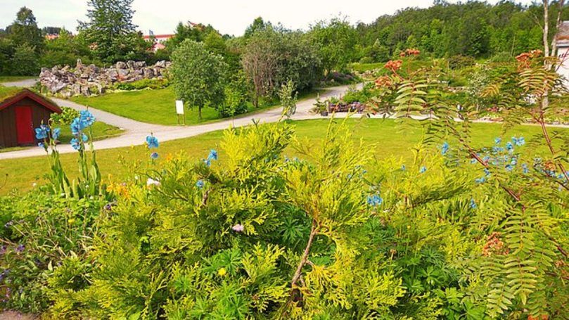 Arctic-Alpine Botanic Garden, Norway
