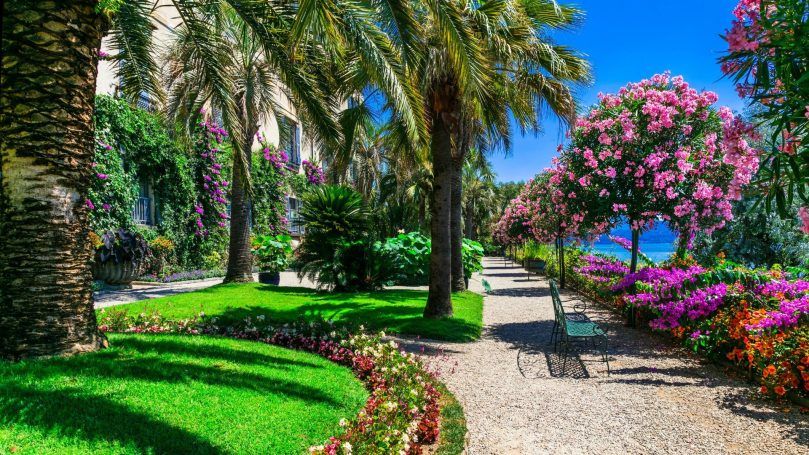 The Botanical Garden Of Isola Madre, Italy