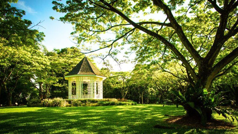 Singapore Botanic Gardens
