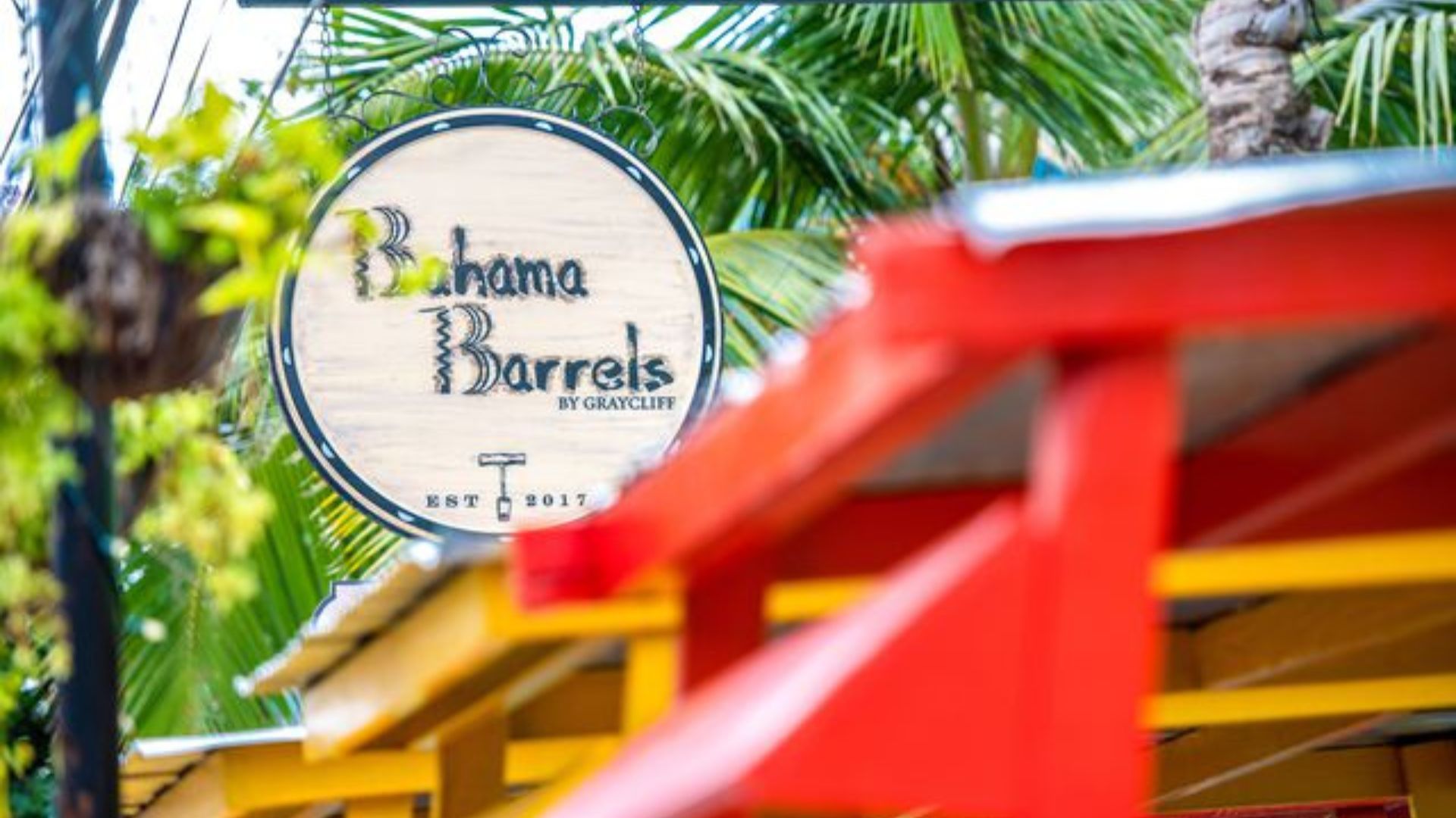 things to do in bahamas