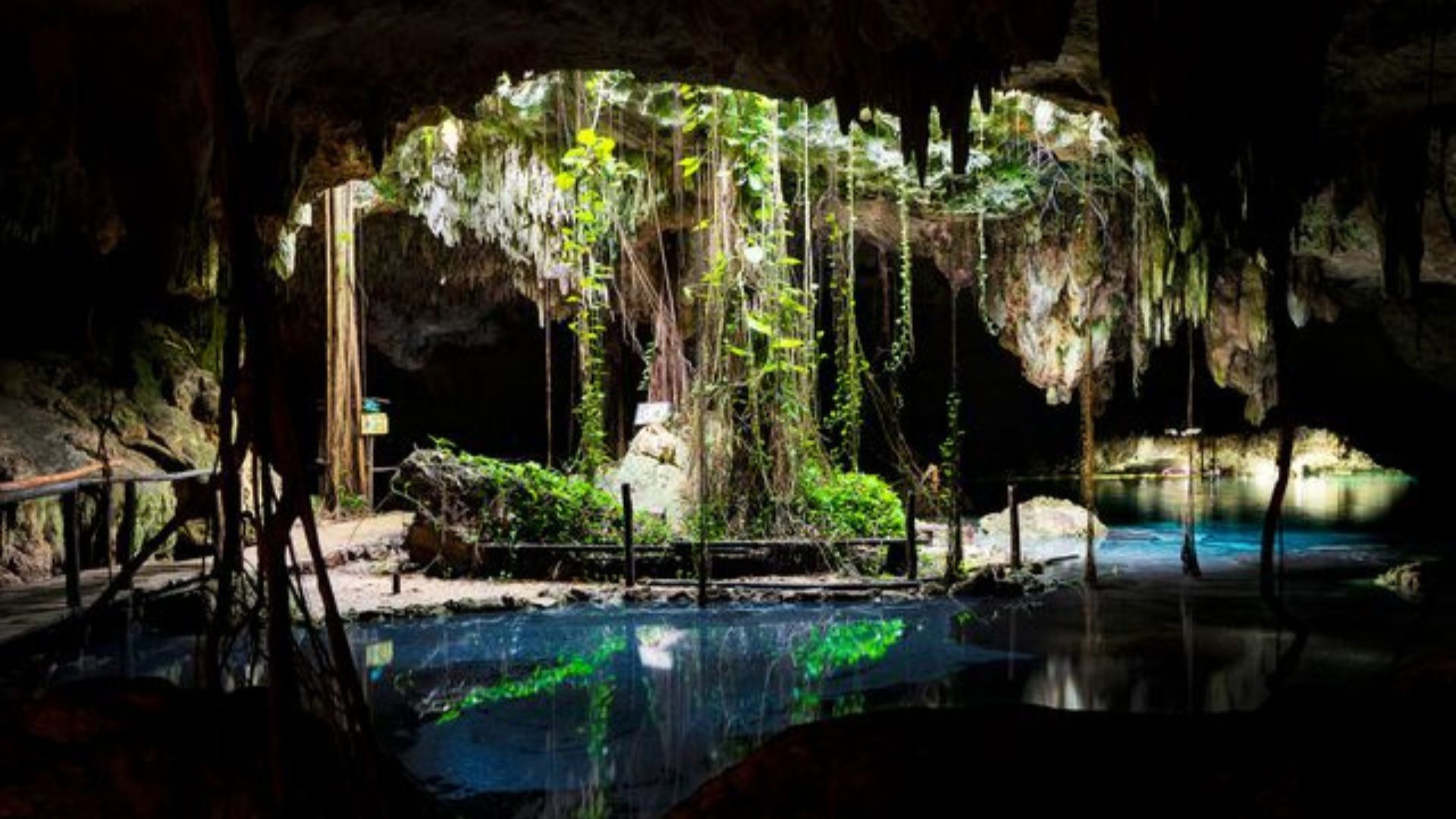 Cenotes in Tulum
