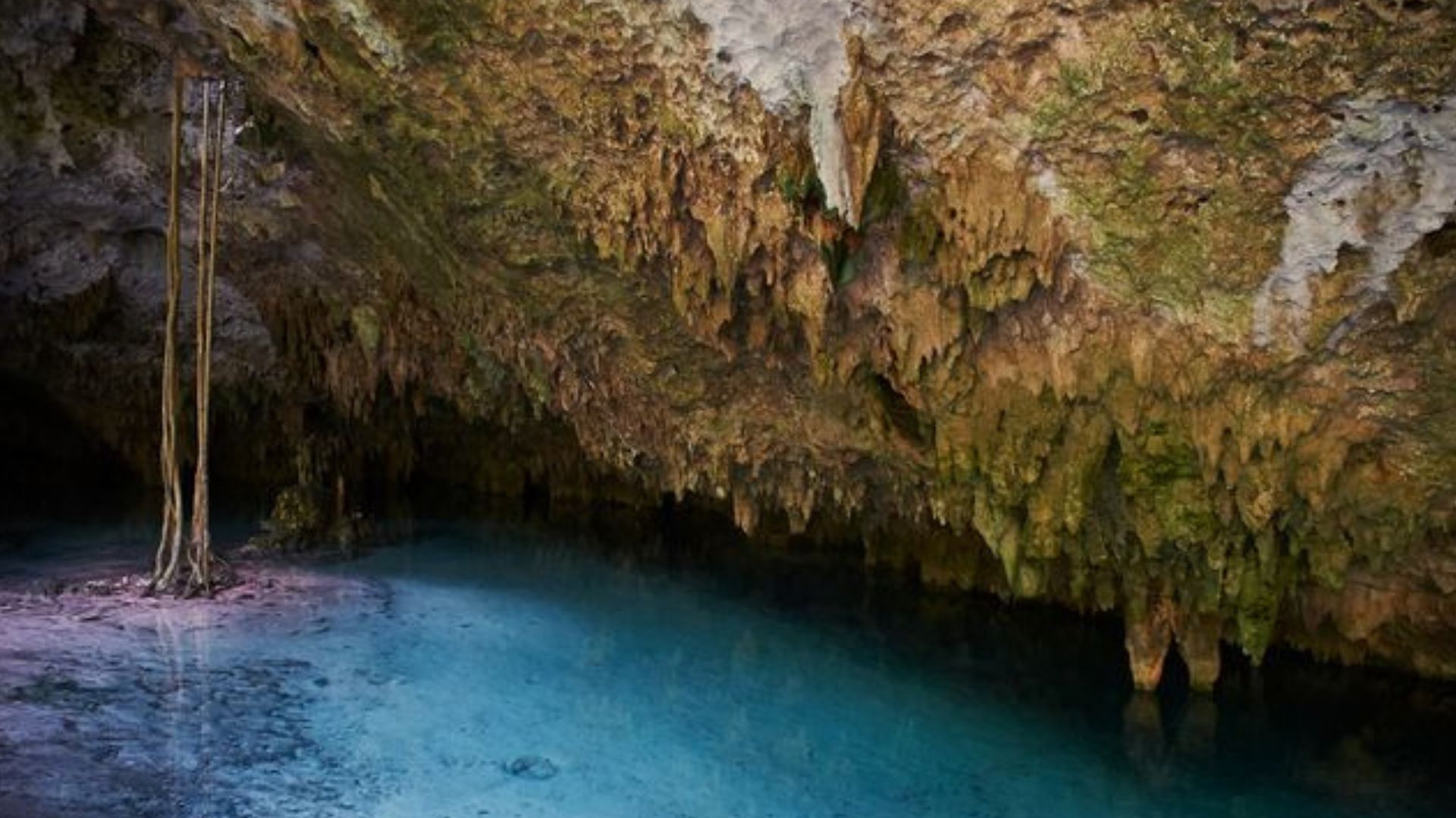 Cenotes in Tulum