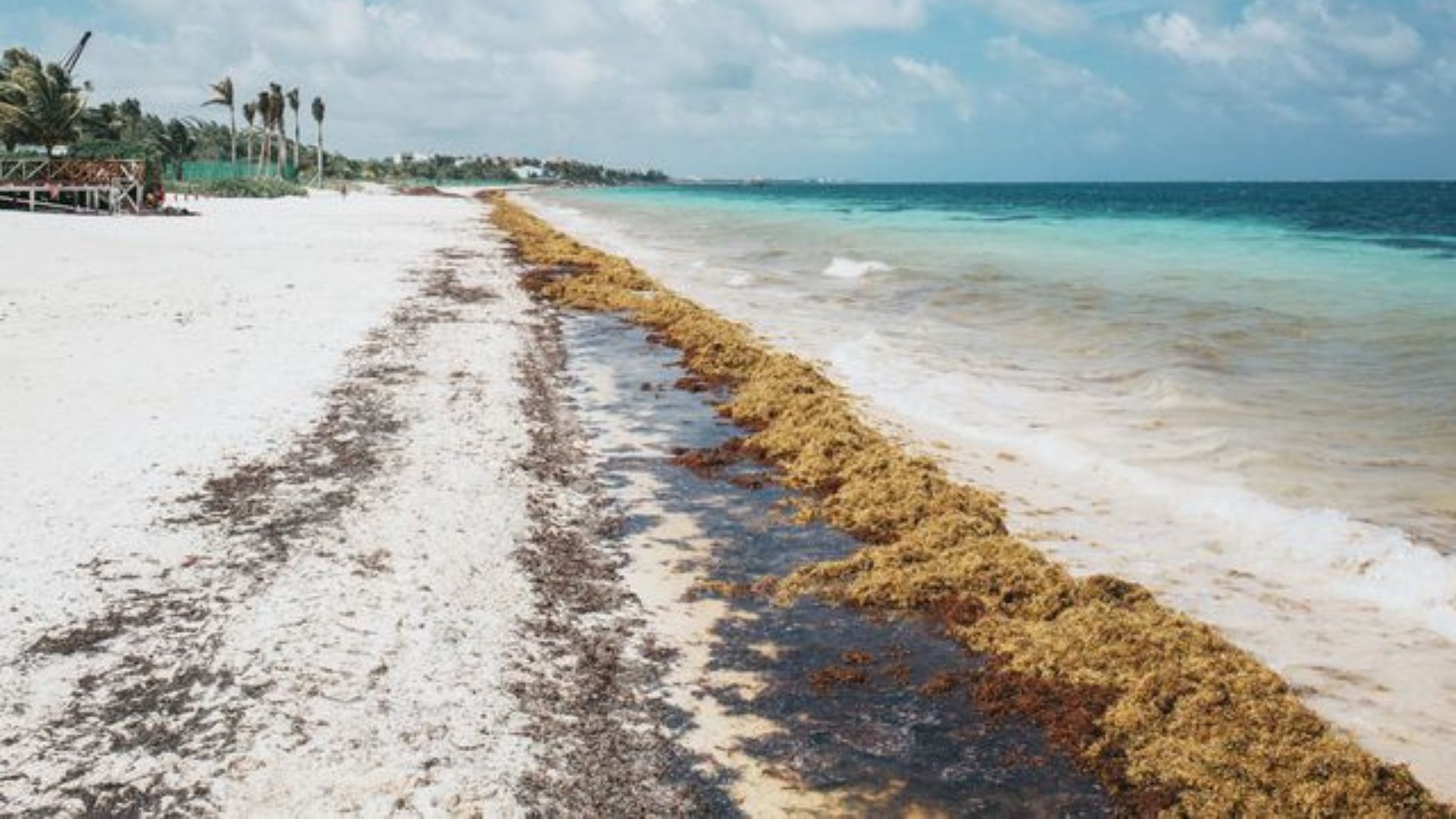 Best times to visit Tulum