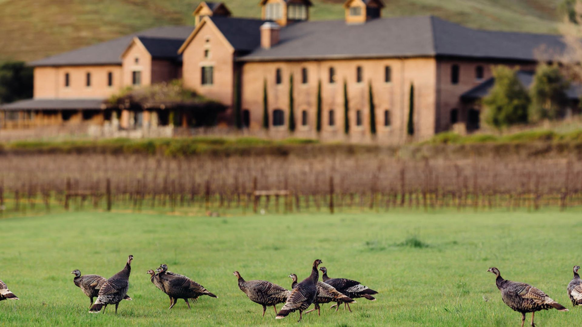 Skywalker Ranch