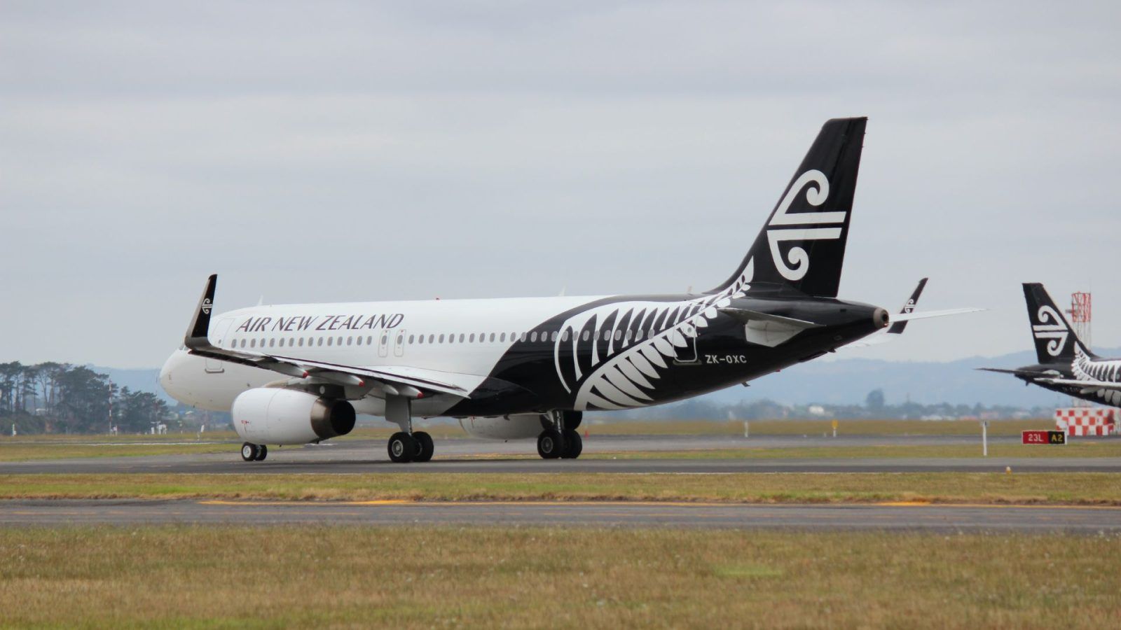Here's Why Air New Zealand Is Weighing Passengers Before Boarding