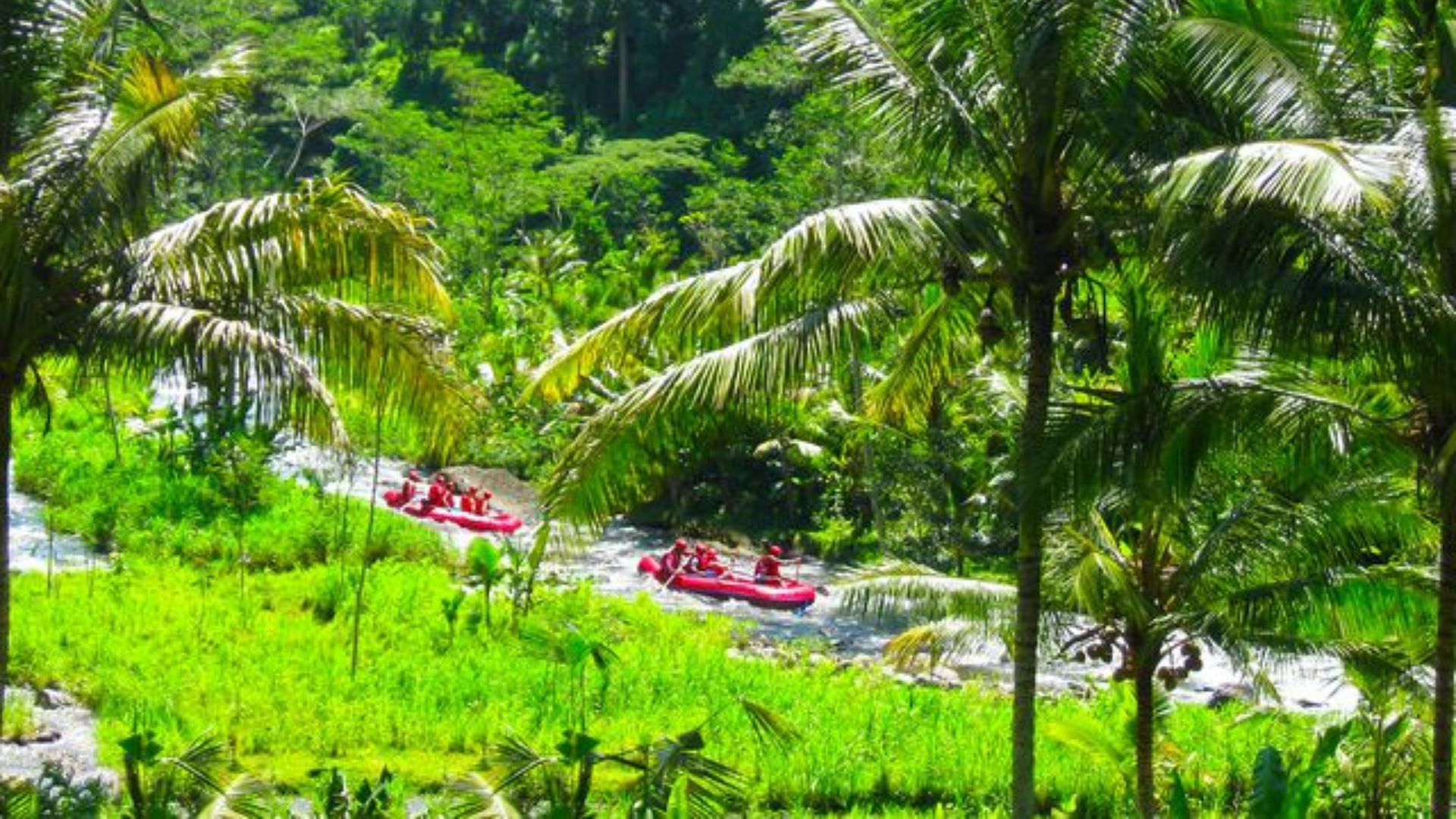Things to do in Bali
