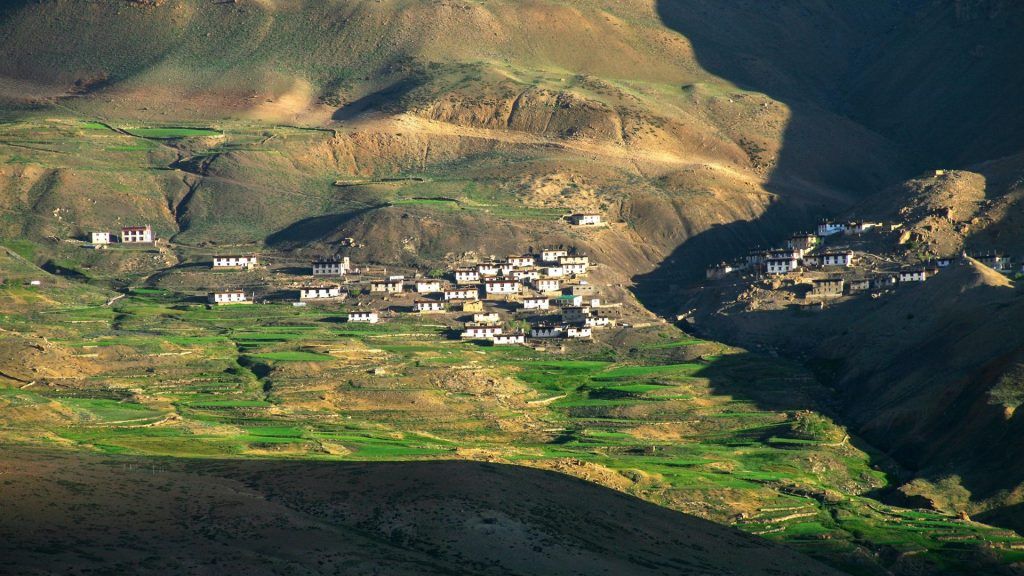 Spot Elusive Wildlife in Spiti Valley, Himachal Pradesh