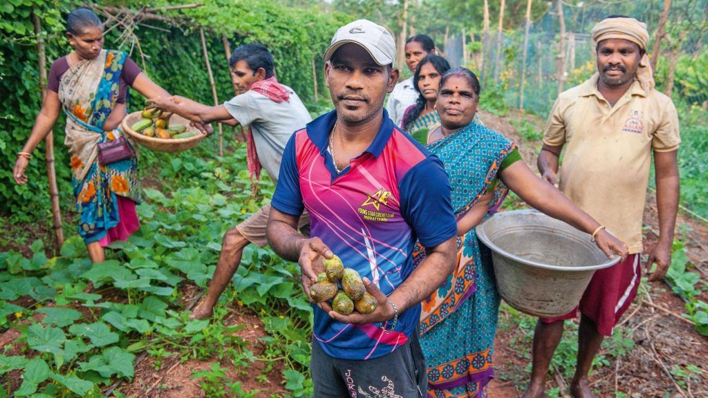 Green Activist in Auroville, Tamil Nadu (Sustainable Experiences India)