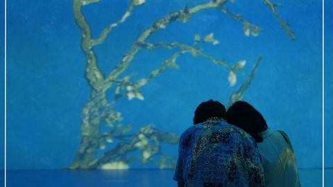Bengaluru, Get Ready! Van Gogh 360 Immersive Experience To Arrive In The City This August