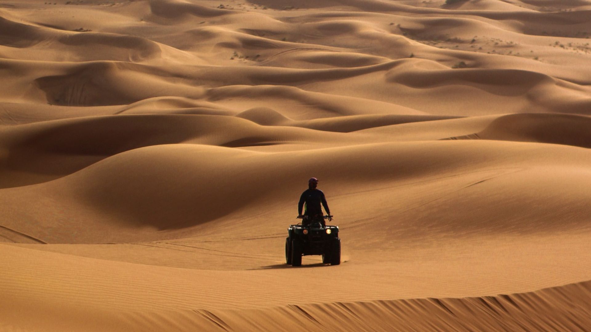 things to do in dubai