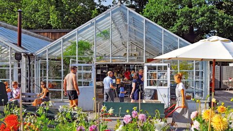 Food For Thought: Stockholm's No-Waste Dining Movement Decoded