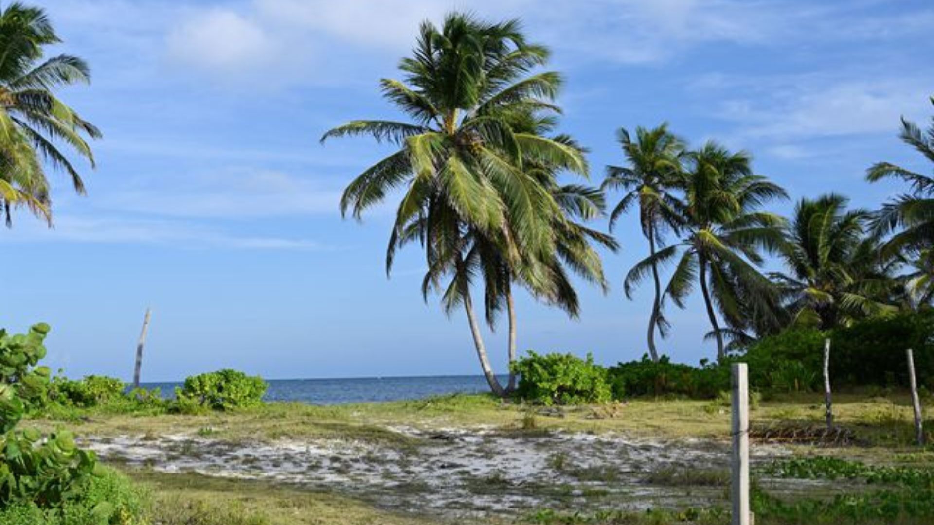 The Best Times To Visit Belize For The Ultimate Tropical Vacation