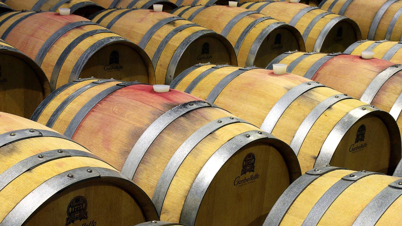 A Lesson In Winemaking At Kakheti Wine Region