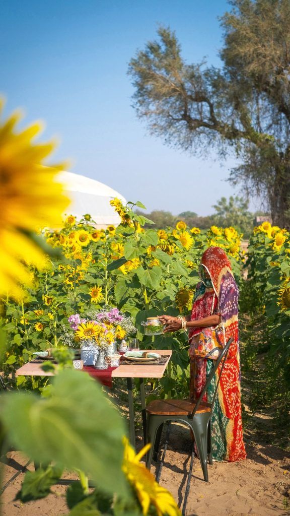 Jodhpur's Conscious Steps, As Showcased In The City's Local Cuisines