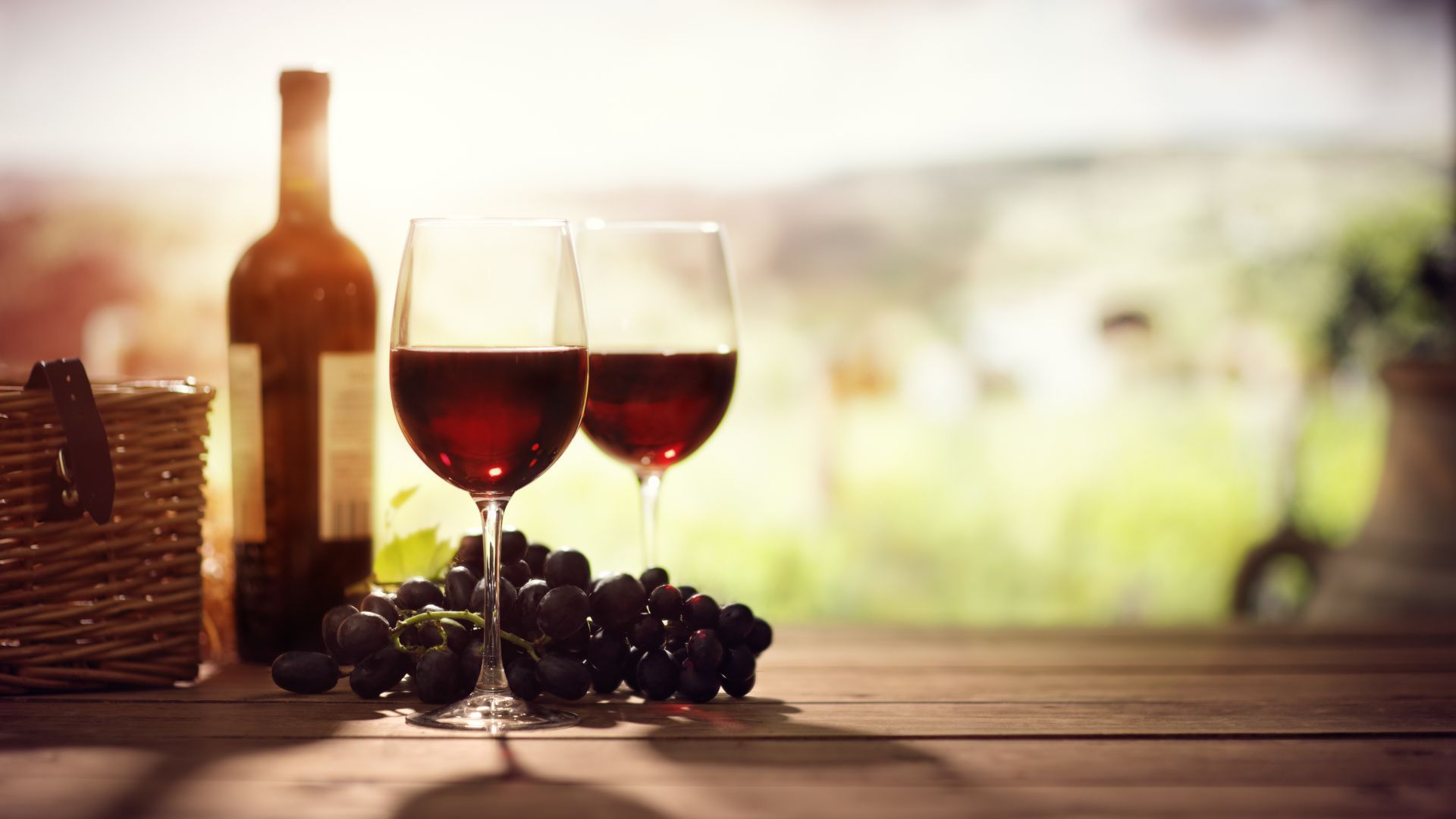 Best Italian Red Wines In India For A Deliciously 'Grape' Vino Collection