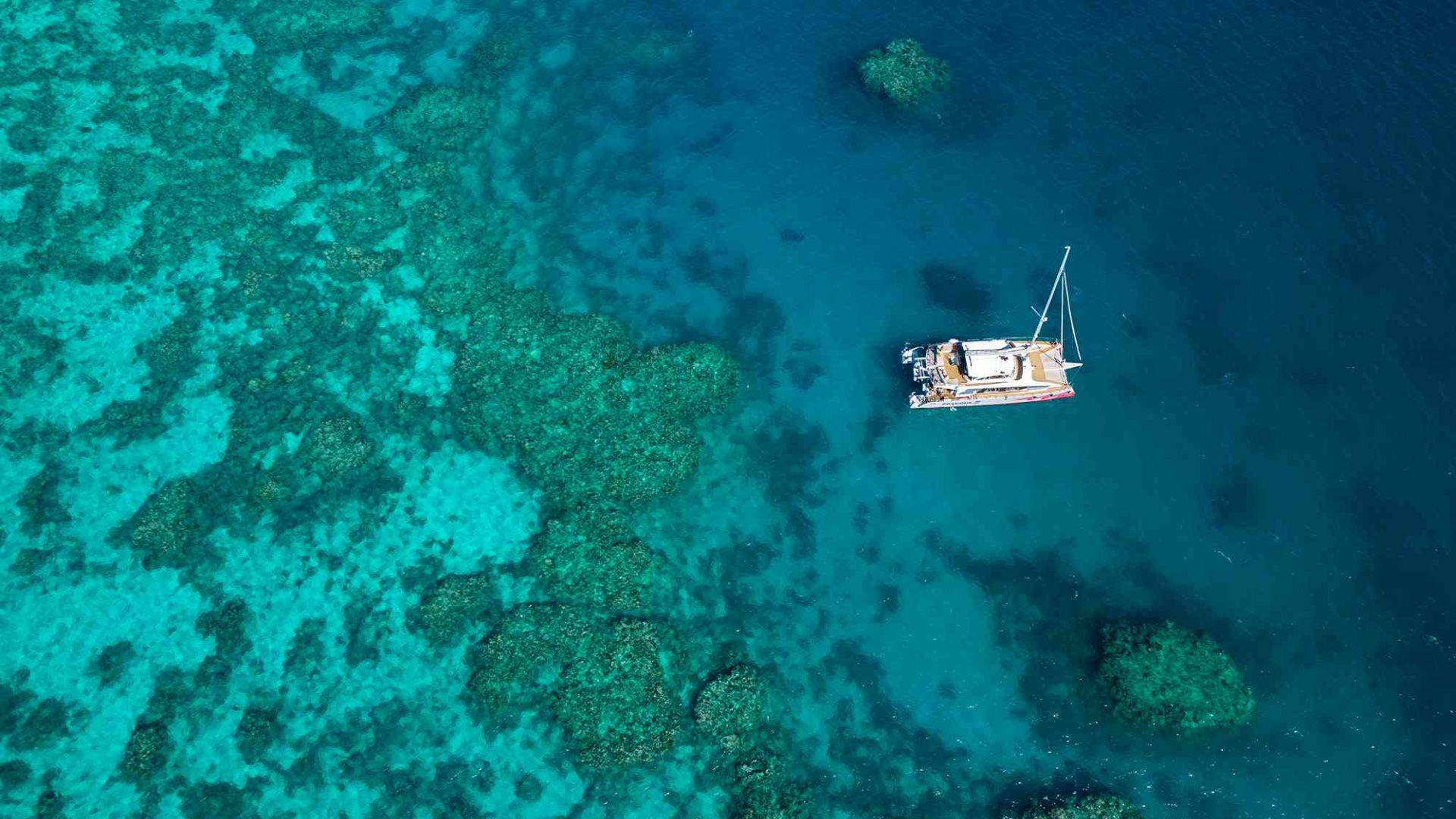 Great barrier reef dive centre