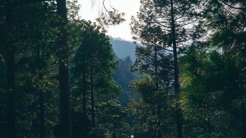 Plan The Ultimate Camping Getaway To Kanatal With Our Guide