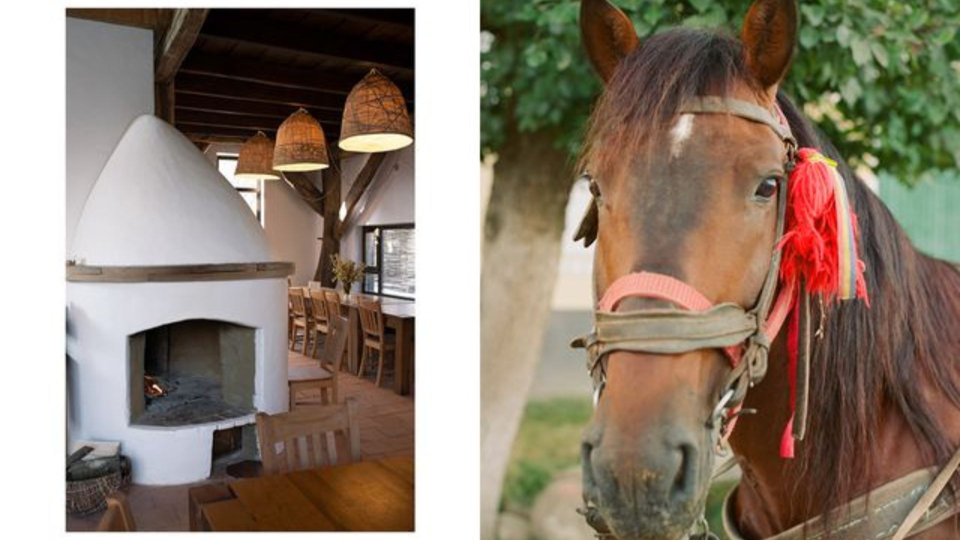 hotels in Transylvania