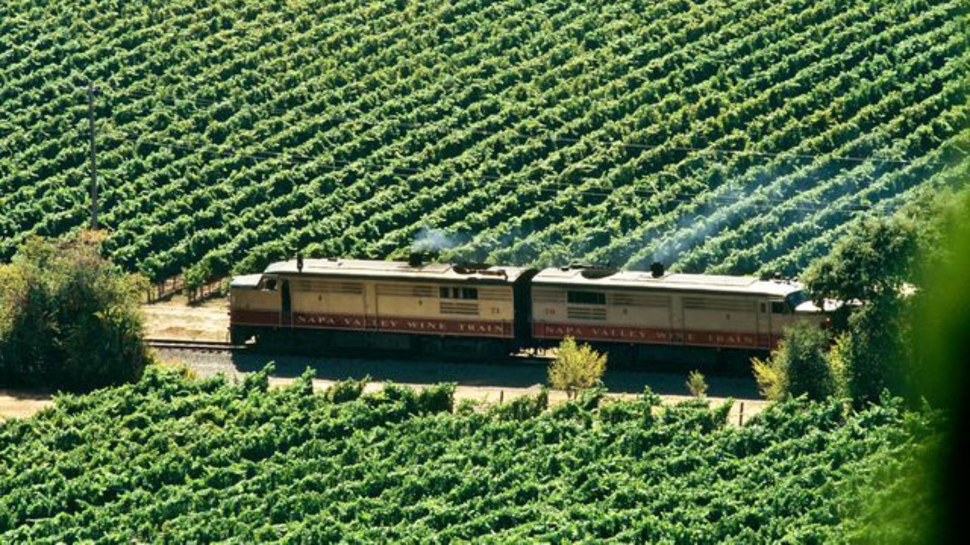 20 Best Things To Do In Napa Valley