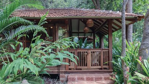 Here’s Everything You Need To Know About Mojigao In Goa