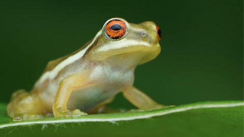 Capturing The Wild Through The Lens Of Photographer Sebinster Francis