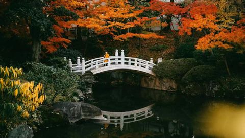 Here's Why You Should Visit Tokyo During These Months