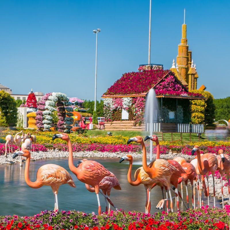 Dubai Miracle Garden: A Floral Wonderland With Food, Live Shows &amp; Millions Of Flowers