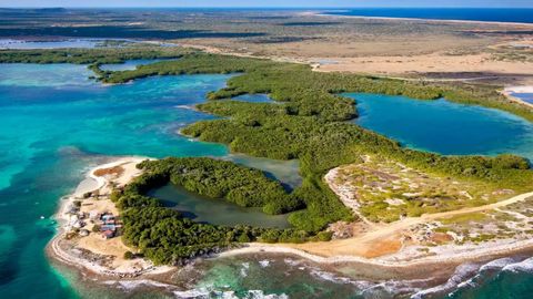 This Caribbean Island Is Home To Beautiful Coral Reefs & Here's How You Can Protect Them