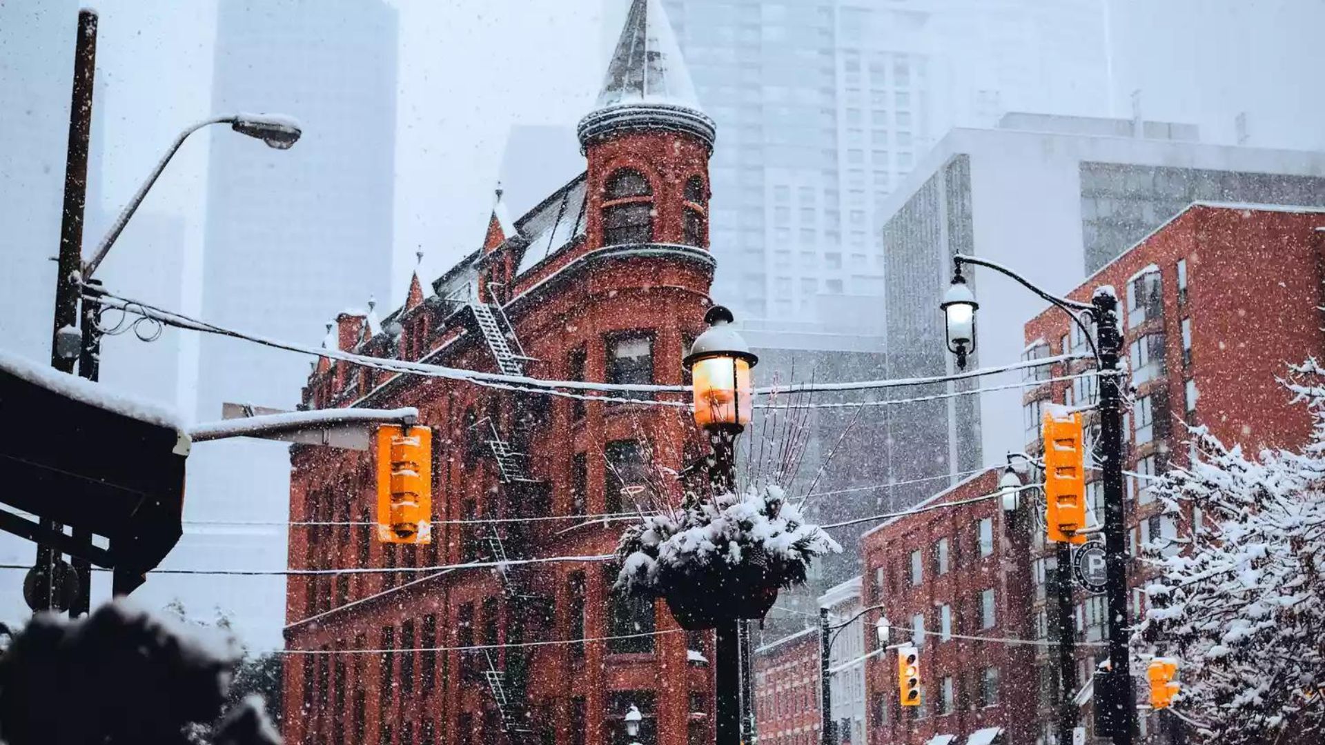 The Best Times To Visit Toronto, According To Experts