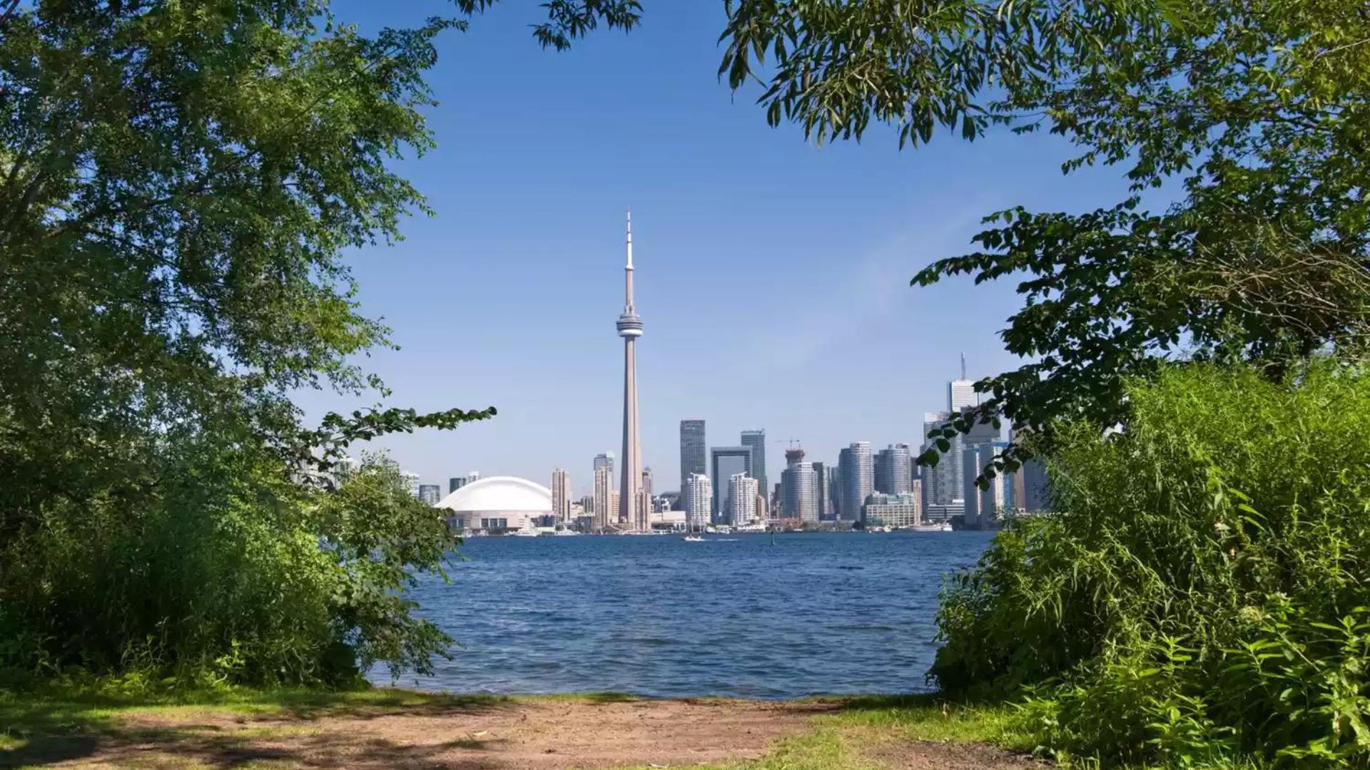 best things to do in toronto