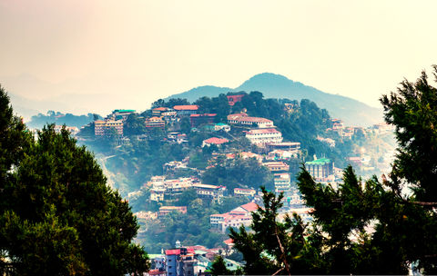 Escape The Ordinary: Hidden Cafes In Mussoorie For A Sweet Getaway