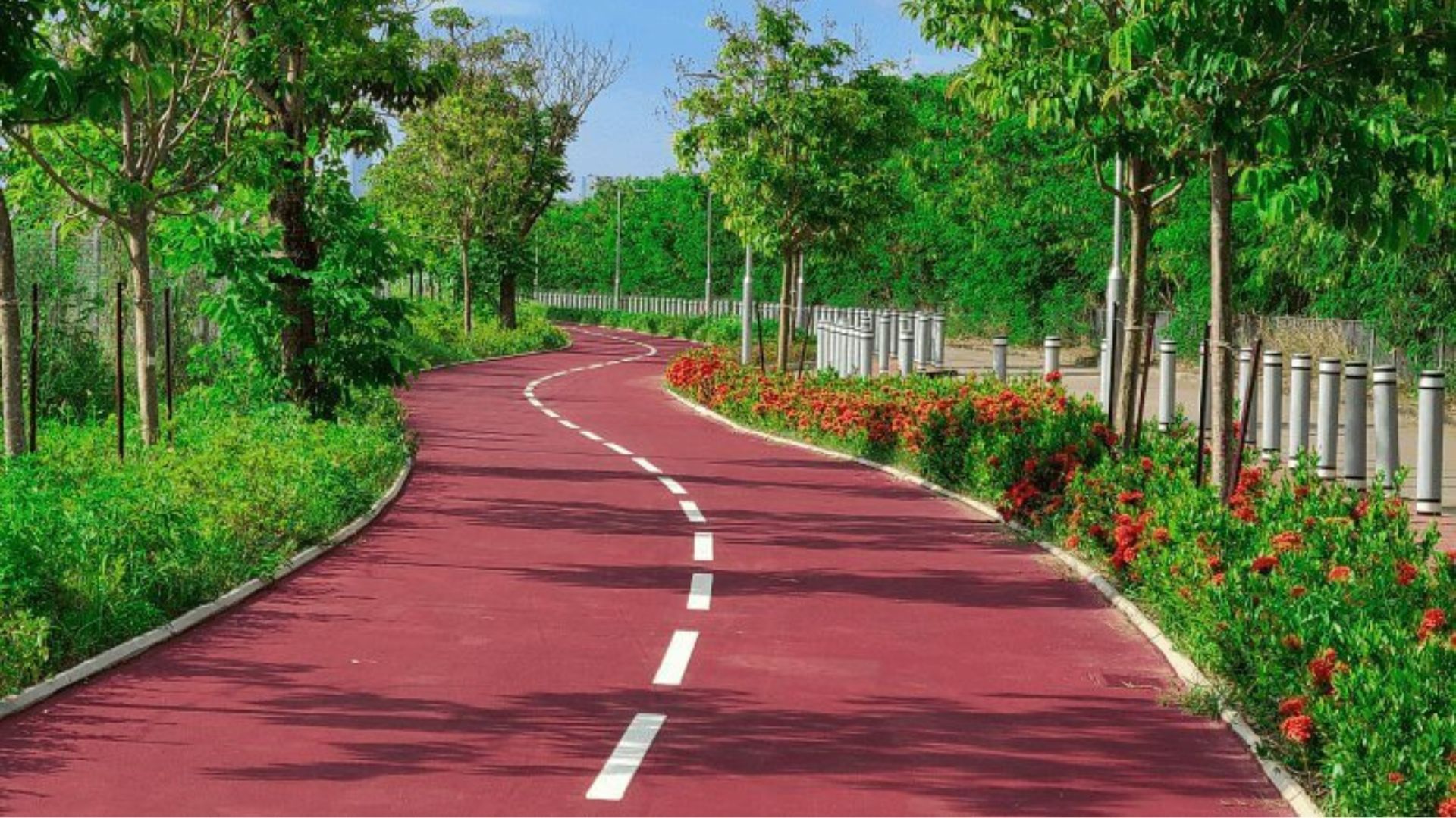 cycling in hong kong