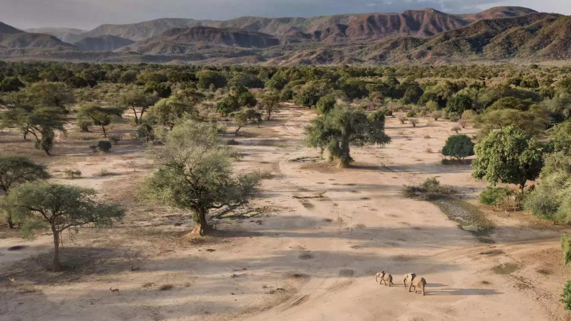safari lodges