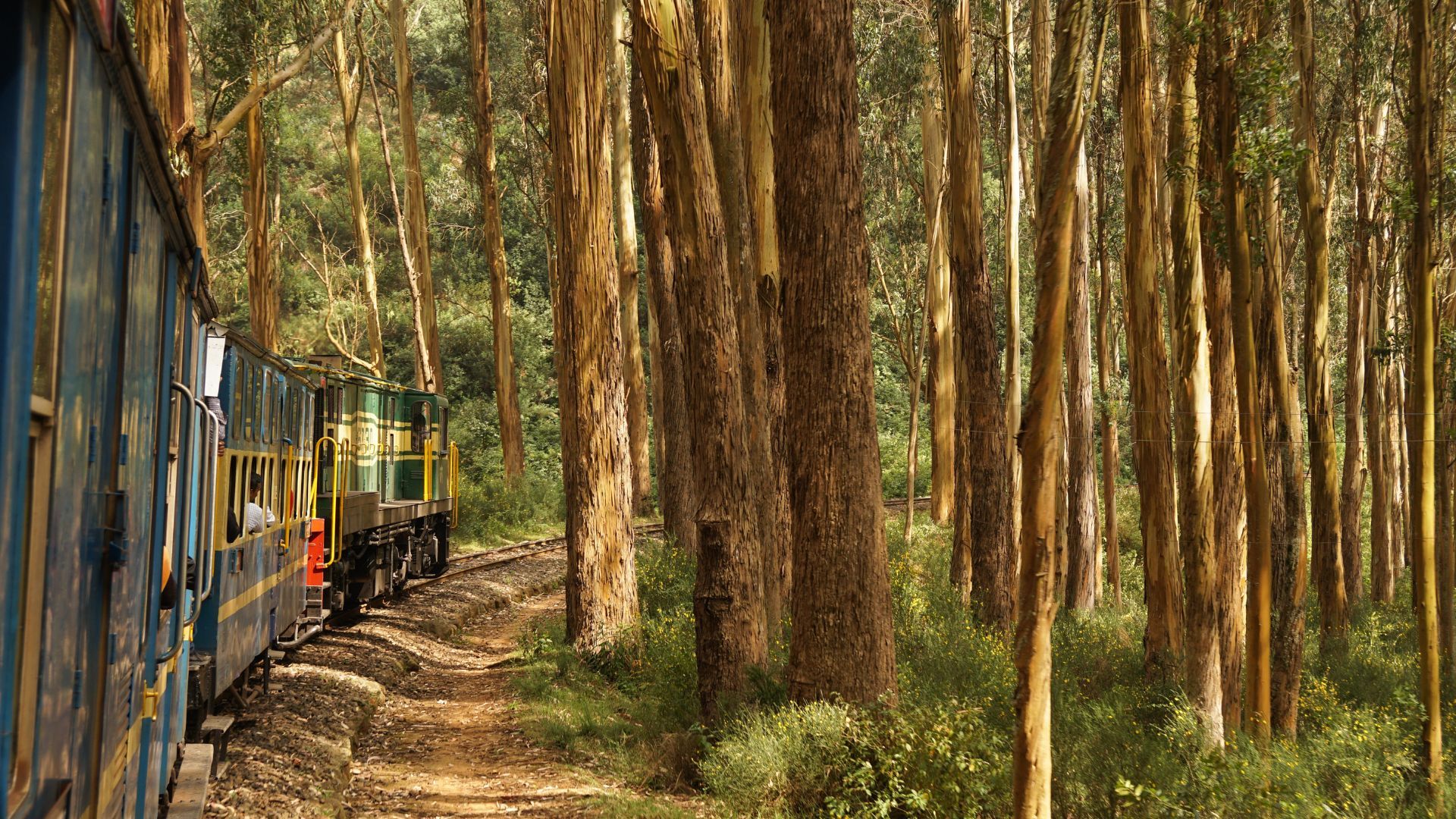 Ooty Nilgiri Railways