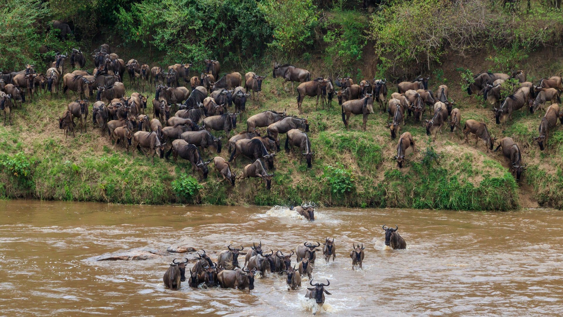 8 Best National Parks In Africa For Wildlife Safaris: An Ultimate Guide ...