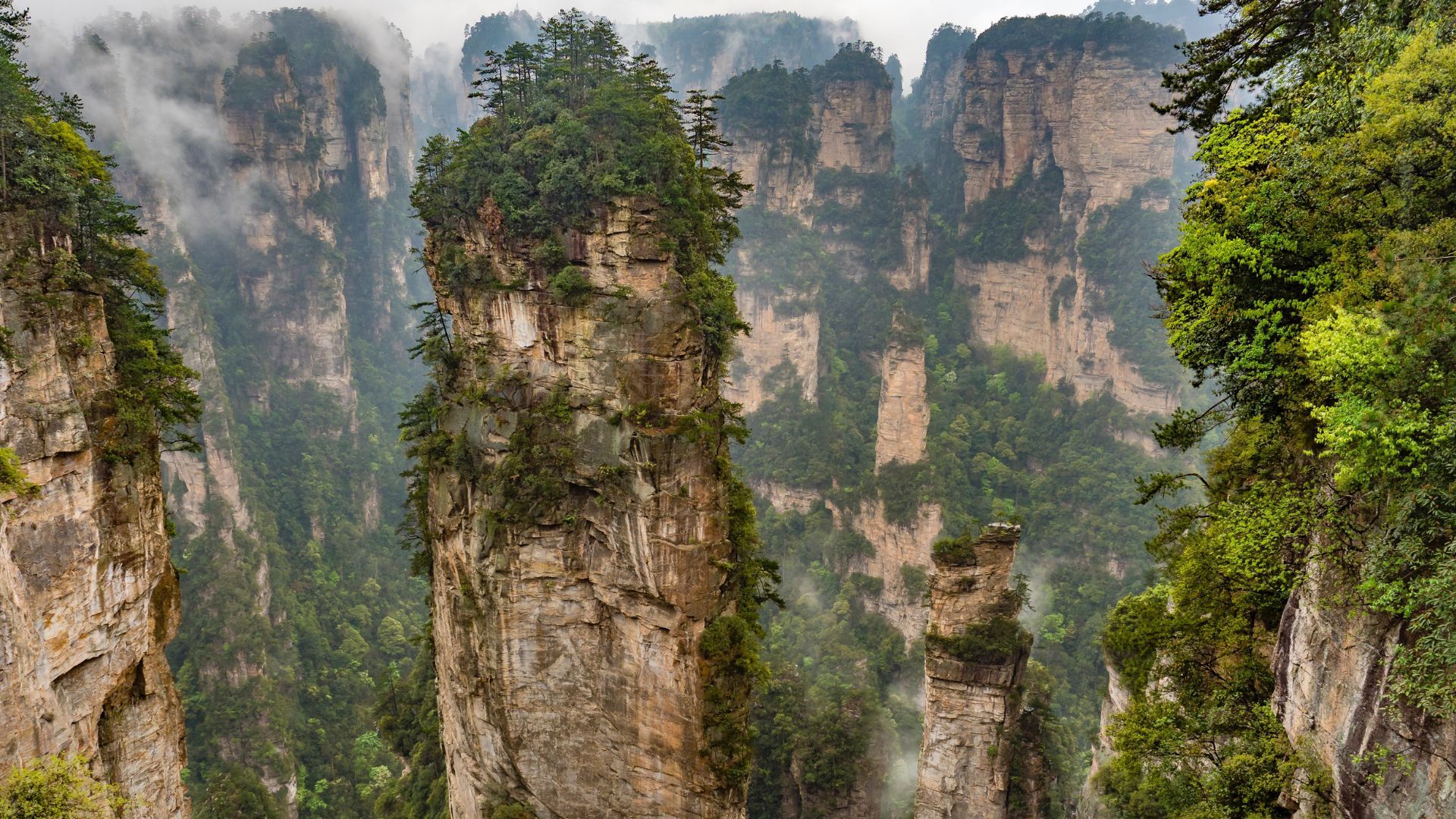 The Best Places To Visit In Asia For 2024   China Zhangjiajie Alexander Schimmeck Unsplash Inline 