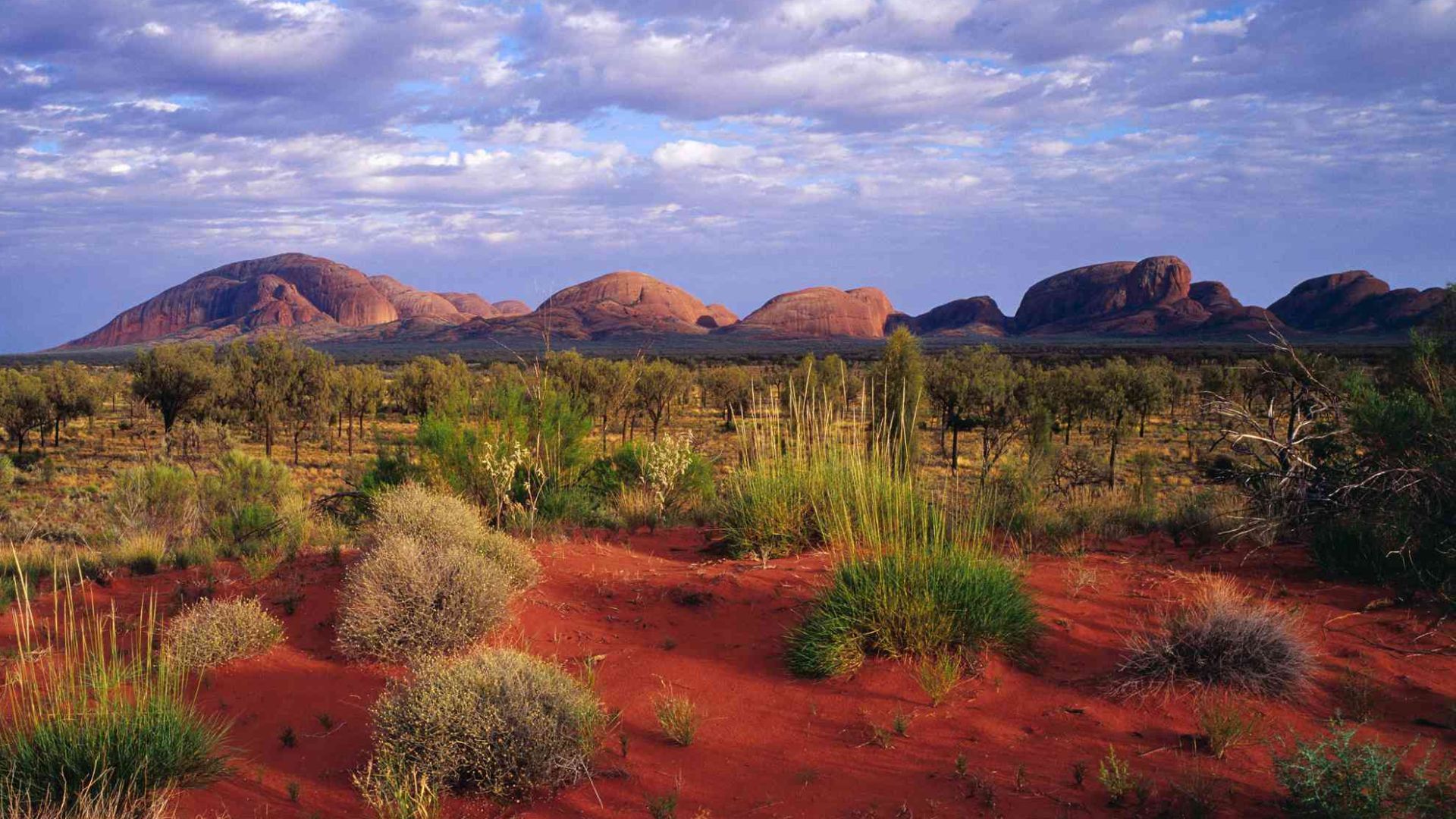 Northern australia