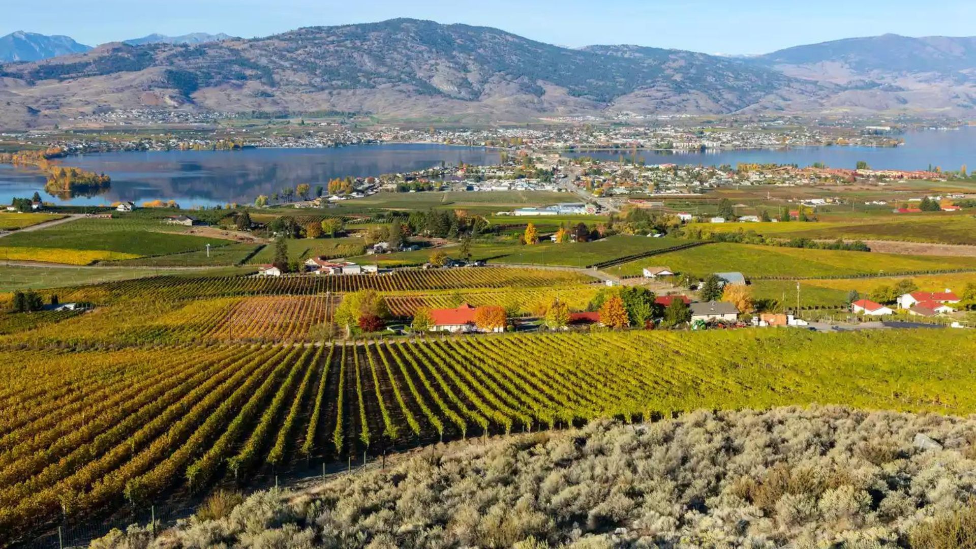 Oliver Osoyoos Wine Country