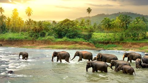 Sri Lanka's Tourism Boost: Dual Entry Visa Offered To Visitors From India And Beyond