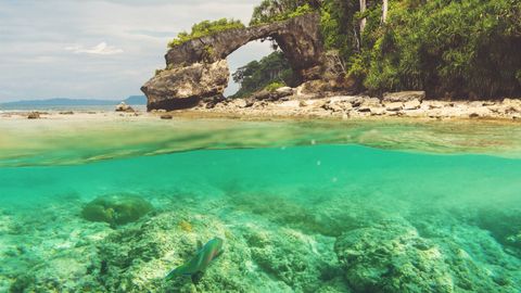 Aves Island, Andaman's Uninhabited Hidden Gem, To Open For Tourists