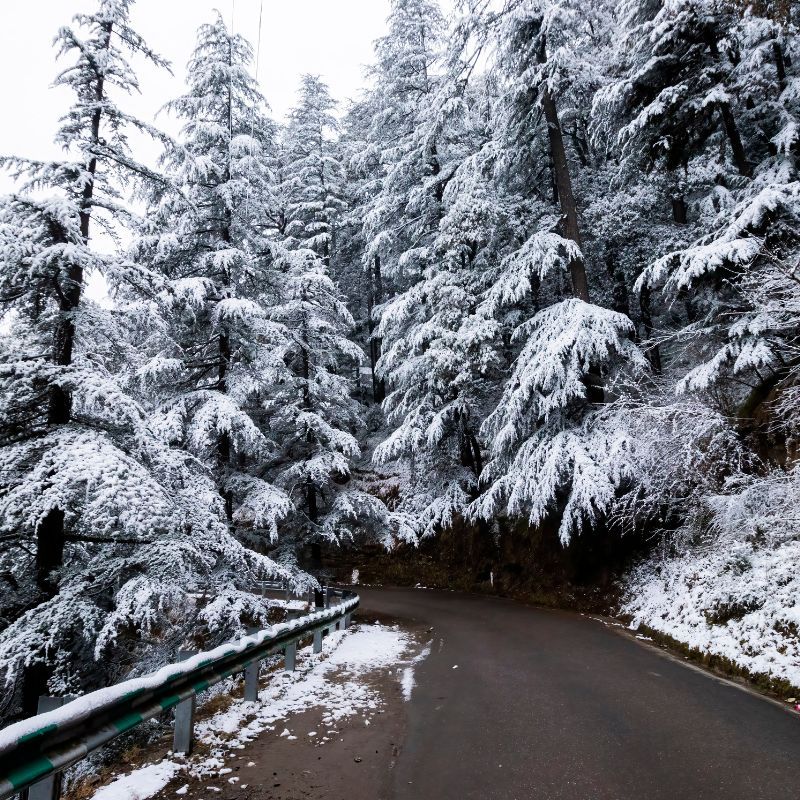 Experience Snowfall Magic At These Hill Stations In India