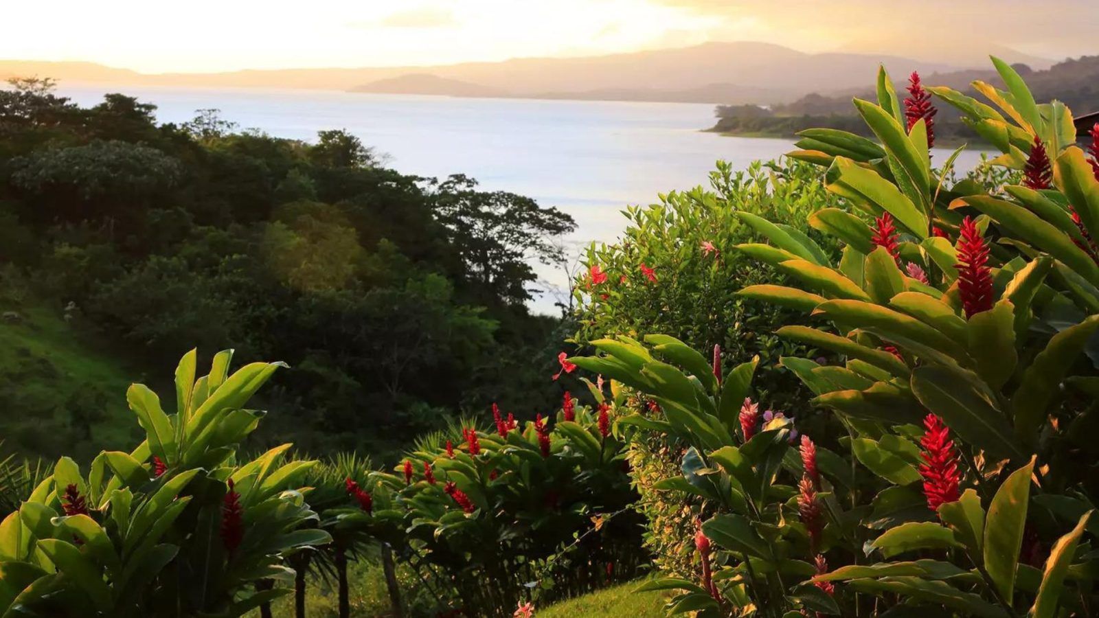 Costa Rica Named The Best Place To Retire In 2024   Tropical Country 1600x900 