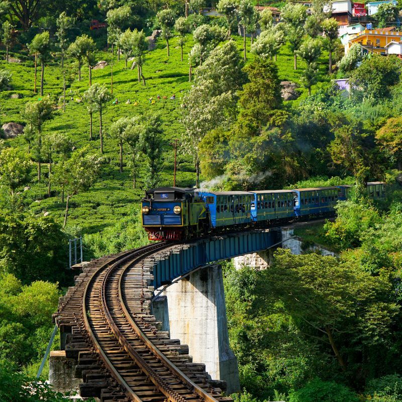 Exploring Ooty: Your Ultimate Guide To The Queen Of Hills