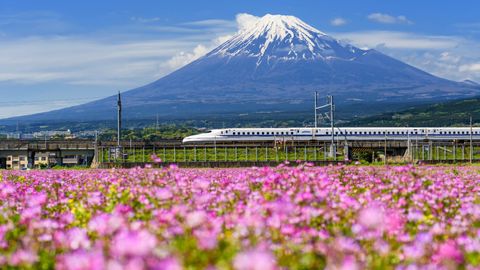 Navigating Japan's Shinkansen Network: Your Ultimate Bullet Train Guide